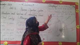 Class 6Sub Science Ch4 Human digestive system Topic Structure and functions of alimentary canal [upl. by Anamuj720]