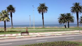 Playa de los Pocitos Montevideo  Explore Uruguay [upl. by Ludba]