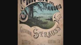 Sul Bel Danubio Blu Johann Strauss [upl. by Tapes]