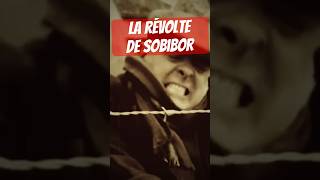 Le soulèvement de Sobibor ww2 [upl. by Emelyne]