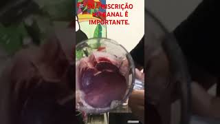 como fazer AÇAÍ DE GARRAFA açaí viralshorts [upl. by Pren]