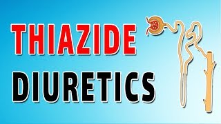 Thiazide Diuretics Mechanism and Side Effects [upl. by Ahsimet]