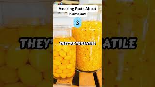 5 Amazing Facts About Kumquat zapetv fruit facts [upl. by Anaira260]