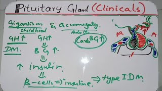 Gigantism And Acromegaly  Growth Hormone Clinical in UrduHindi [upl. by Annavoeg]