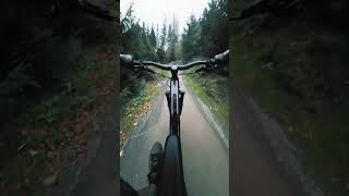 Herbst im Bikepark Willingen [upl. by Elam]