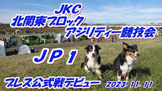 20231111北関東ブロックアジリティー競技会JP1ブレス公式戦デビューSpecial thanksHN [upl. by Rhines]