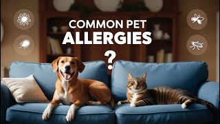 Common Pet Allergies What You Need to Know to Keep Your Pet Healthy [upl. by Lesak]