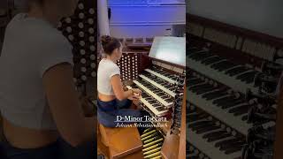 DMinor Toccata  Johann Sebastian Bach [upl. by Harshman]