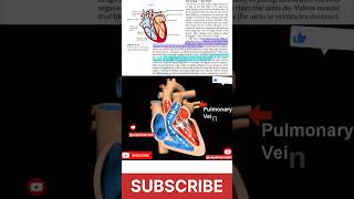 Double circulation human heart life processes humanheart Viral ViralShorts ncert cbse [upl. by Prud]