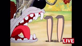 The Heckling Hare 1941 on WB Kids Channel Live [upl. by Rosalba742]