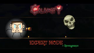 Terraria Calamity  Skeletron  Expert  Revengeance mode [upl. by Vallo]