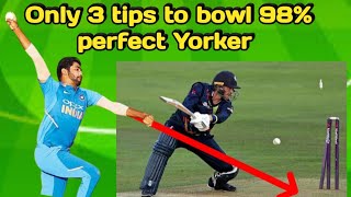 सिर्फ ये तीन टिप्स है जिससे जाती है perfect Yorker। बस एक बार try करो। How to bowl perfect Yorker [upl. by Soilissav]