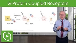 GProtein Coupled Receptors GPCRs – Biochemistry  Lecturio [upl. by Vasilis]