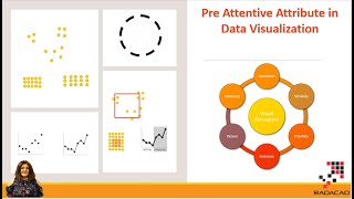 Pre Attentive Attribute in Data Visualization [upl. by Guendolen]