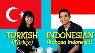 Similarities Between Turkish and Indonesian [upl. by Isolda]