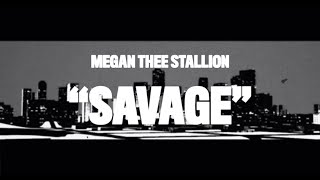 Megan Thee Stallion  Savage Animated Video [upl. by Cleary]