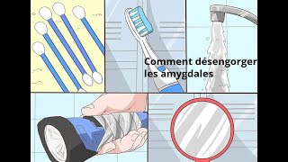 Comment désengorger les amygdales [upl. by Fabozzi802]