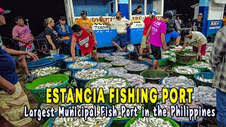 ESTANCIA FISHING PORT Walking Tour  Largest Municipal Fish Port in the Philippines [upl. by Ellerihs]