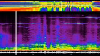 Géologie Sonore De Natura Sonorum by Bernard Parmegiani [upl. by Cartwright916]