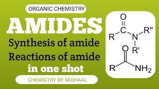 Amides Synthesis and Reactions Complete amides in one shot  Bs Chemistry [upl. by Anitsenre]