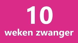 10 weken zwanger  de ontwikkeling van je baby [upl. by Amleht]