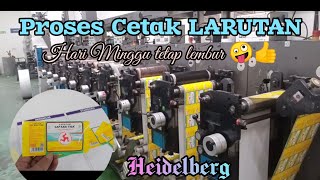 Hari Minggu Tetap Lembur 😁👍Percetakan Mesin Gallus Em280 vlog lembur pejuangrupiah [upl. by Cirone238]