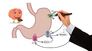 Pharmacology  GASTROINTESTINAL AND ANTIEMETIC DRUGS MADE EASY [upl. by Aid]