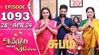 Anbe Vaa Serial  Episode 1093  28th April 24  Virat  Shree Gopika  Saregama TV Shows Tamil [upl. by Mattie]