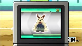 Stoutland Pokédex Entrywmv [upl. by Annoled]