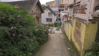 Walking in Dalat Vietnam A beautiful sunny afternoon [upl. by Ardnued328]