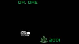 Dr Dre  The Next Episode feat Snoop Dogg Nate Dogg  Chronic 2001 [upl. by Itsym]