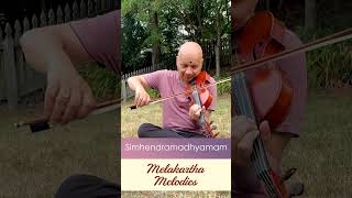 Melakartha Melodies  Part 34 Rāmapriya and Simhendramadhyamam  Brahma Chakra and Disi Chakra [upl. by Yesrej780]