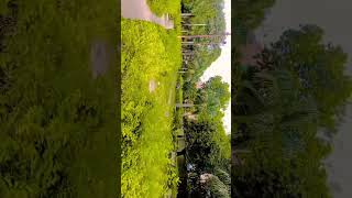 Azad park Varanasi vidio short viral explore music [upl. by Aseneg765]