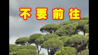 去靠近以色列的黎巴嫩南部，找树林，2天后这里就陷入了危机 [upl. by Enotna]