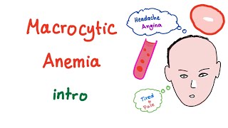 Macrocyctic Anemia Intro [upl. by Israeli]