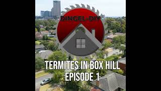 Box Hill Makeover Episode 01 Trailer diy newseries [upl. by Hartfield122]