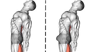 Kegel Exercises For Men Pelvic Floor Exercises [upl. by Kingsbury]