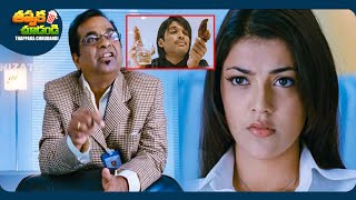 Allu Arjun And Kajal Aggarwal Telugu Full Comedy Scene 😂🤣 ThappakaChudandi9 [upl. by Yr939]