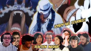 Kaido Kills CP0 Agent after interfering his fight against Luffy  One Piece  MEGA Reaction Mashup [upl. by Lhary]