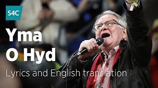 Yma o Hyd  Dafydd Iwan  Dafydd Iwan sings Yma o Hyd with lyrics and English translation  S4C [upl. by Mariandi530]