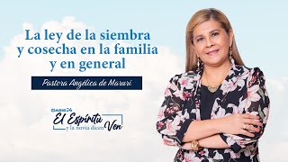 La ley de la siembra y cosecha en la familia y en general  Pastora Angélica de Maruri [upl. by Cleti]