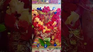 Navaratri Puja 🙏navaratri maa rupa jubinnautiyal bollywood song music rupavlogs shorts [upl. by Neneek]