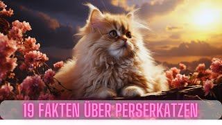 19 Interessante Fakten über Perserkatzen 😻 Passt eine Perserkatze zu mir 🤔 [upl. by Talanian984]