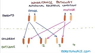 Understanding Autosomal Dominant and Autosomal Recessive Inheritance [upl. by Renckens79]