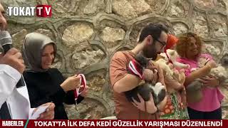 TOKATTA İLK DEFA KEDİ GÜZELLİK YARIŞMASI DÜZENLENDİ [upl. by Baer]