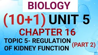 NEET BIO 101 CHAPTER 16 VIDEO 10 [upl. by Lia]