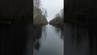 Dismal Swamp NC [upl. by Ruffo]