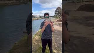 Maribyrnong River Fishing riverfishing fishing maribyrnongriverfishing southernblackbream [upl. by Jacobah500]