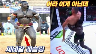 인간이야 고릴라야 유도 기술을 힘으로 뽑아버린 세네갈 레슬링 세네갈 레슬링 vs 유도 MMA 대결 한결TV [upl. by Ladnor]