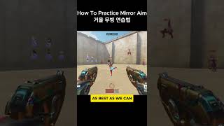 How To Practice Mirror Aim [upl. by Afra963]